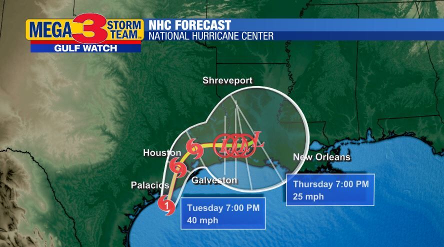 National Hurricane Center Forecast for Nicholas (5 Days)